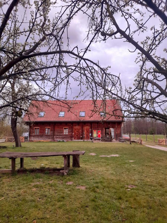 Liljas Haus Im Spreewald Apartment Бург Екстериор снимка
