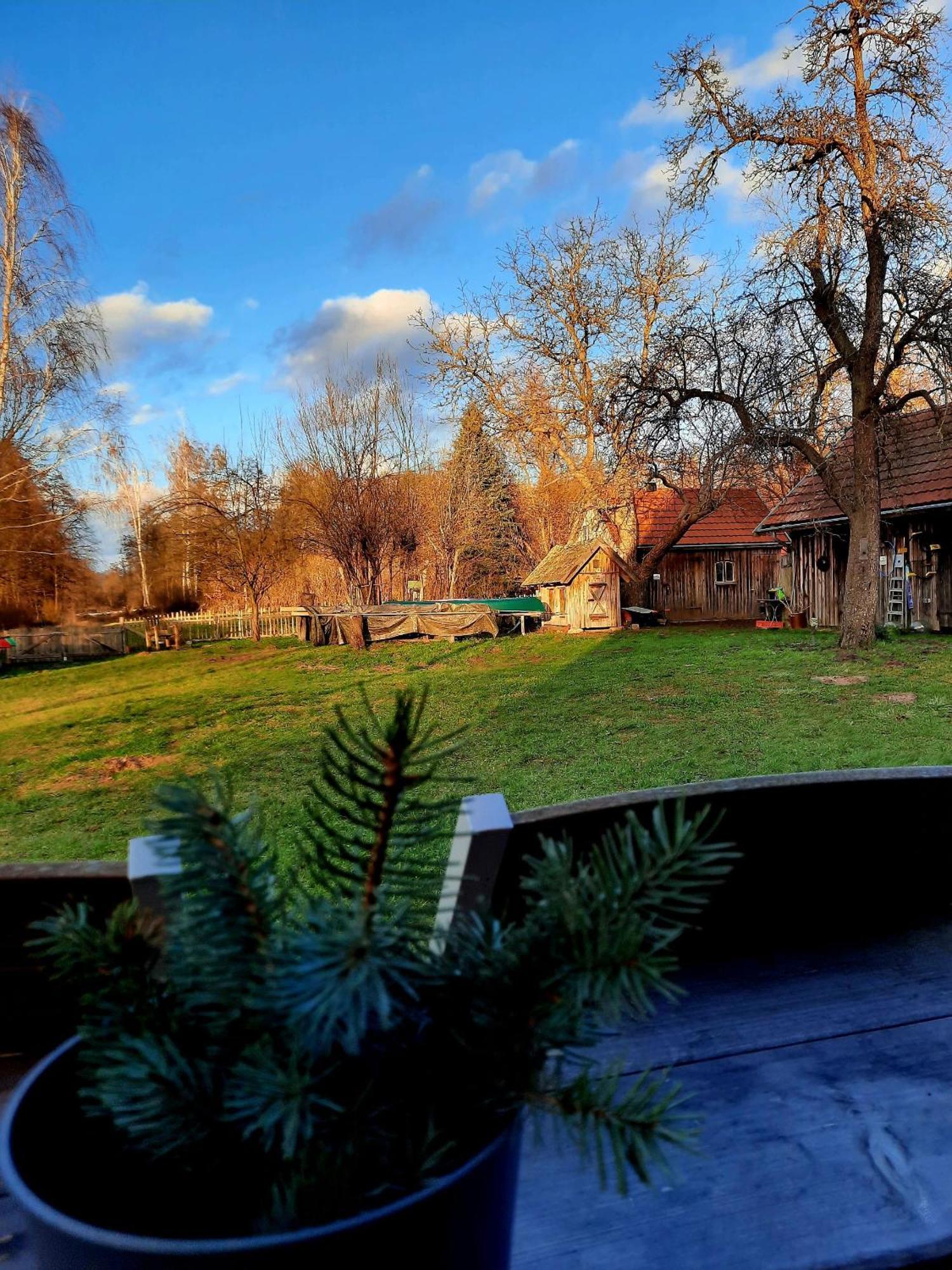 Liljas Haus Im Spreewald Apartment Бург Екстериор снимка