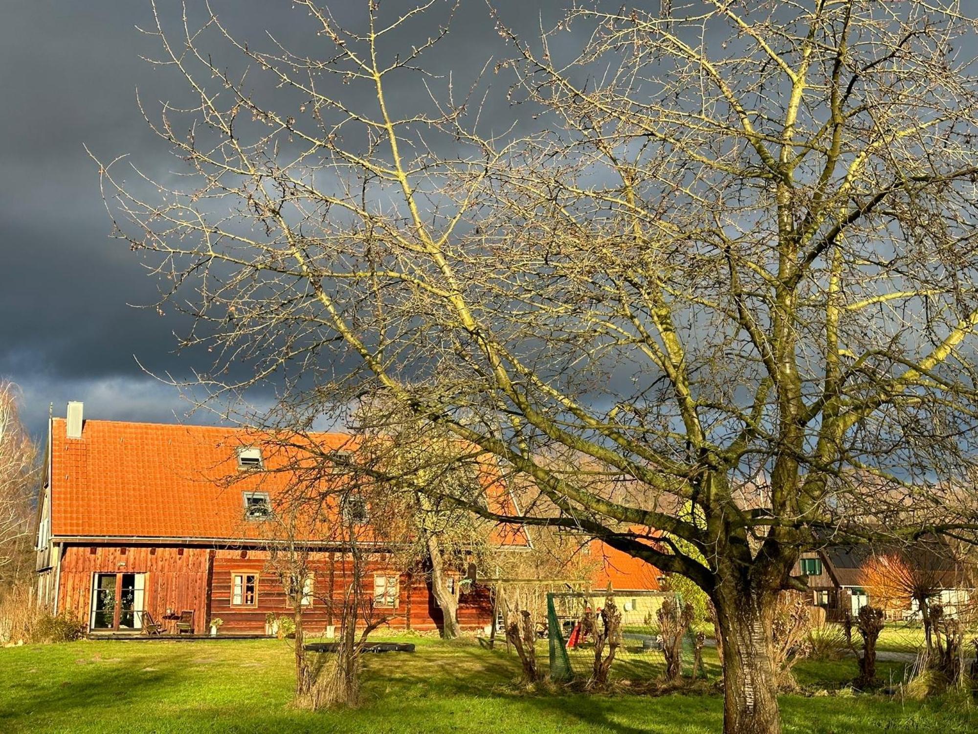 Liljas Haus Im Spreewald Apartment Бург Екстериор снимка